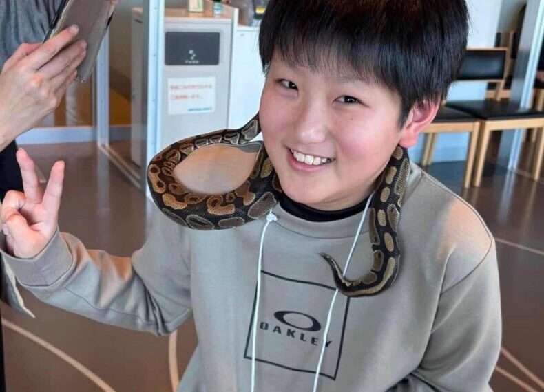 ふれあい移動動物園