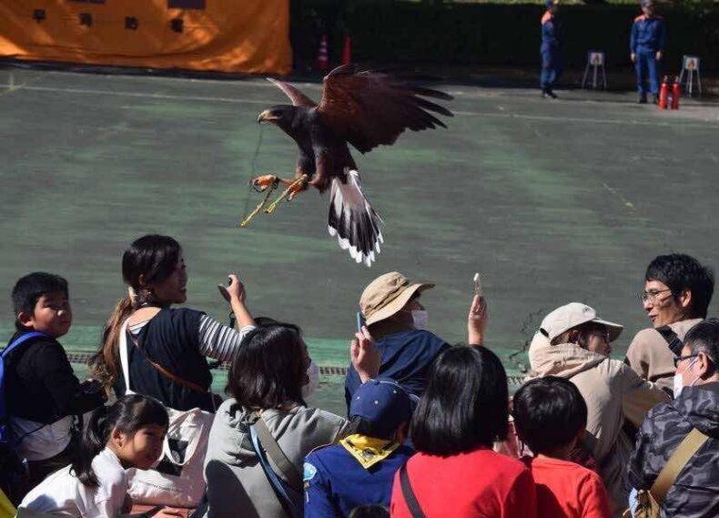 鷹パフォーマンスショー